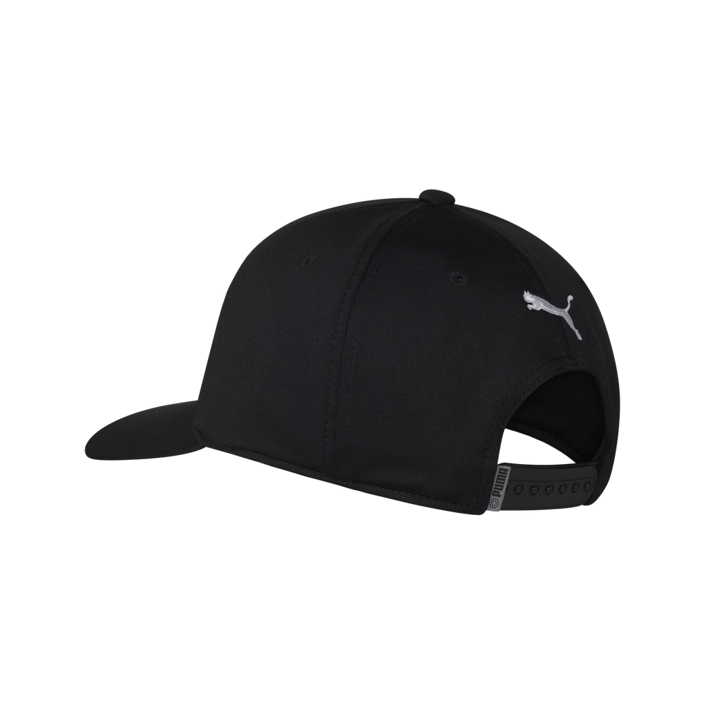 PUMA 25/26 Team Cap