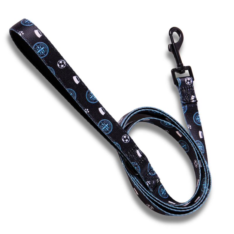 Melbourne City Pet Lead
